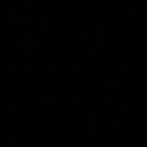 Meet your Posher, Ines